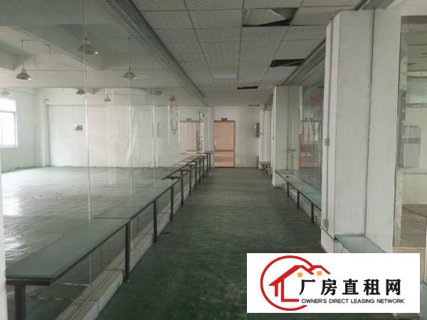  横岗稀有原房东独院4800平低价出租，无公摊，无物业管理费