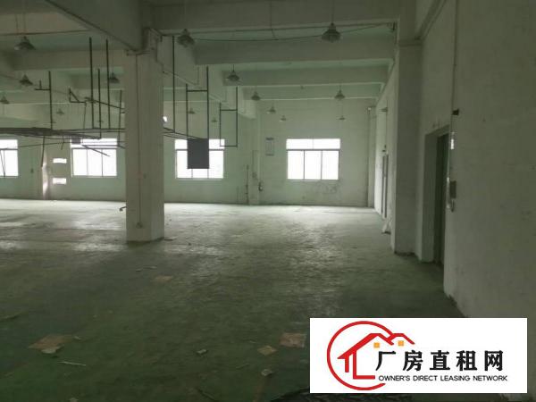  横岗稀有原房东独院4800平低价出租，无公摊，无物业管理费