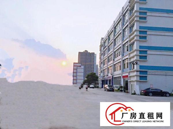  横岗大康新出创客园960平厂房仓库大小出租，精装修，空地大！