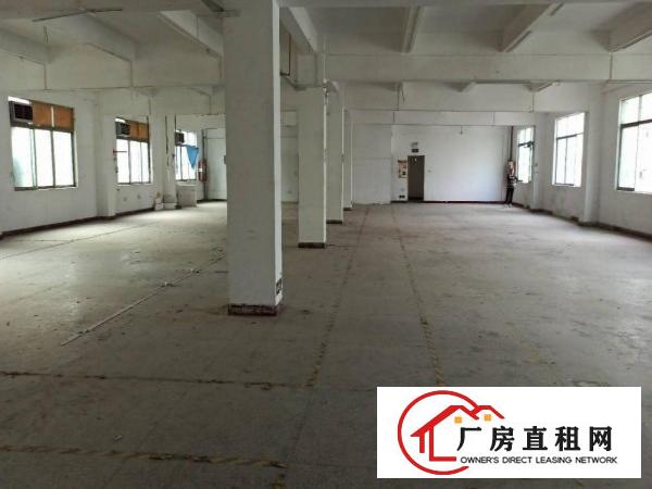  厂房出租横岗六约一楼1100平方带精装修空地超大红本厂房