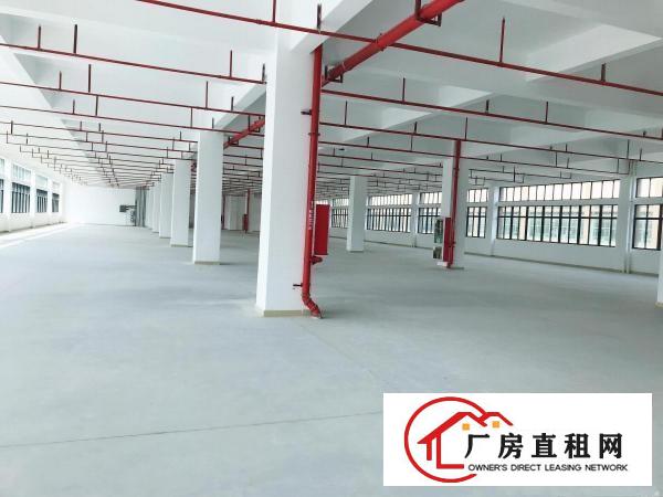  横岗西坑新出三楼490平厂房仓库写字楼出租，带装修办公，