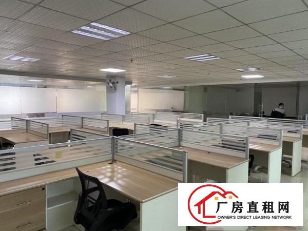  安良八村新出四楼500平方出租