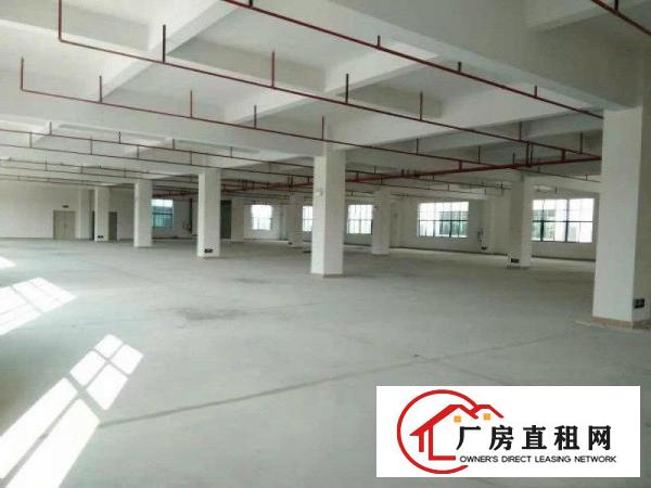  横岗大康独门独院3300平，合同期长