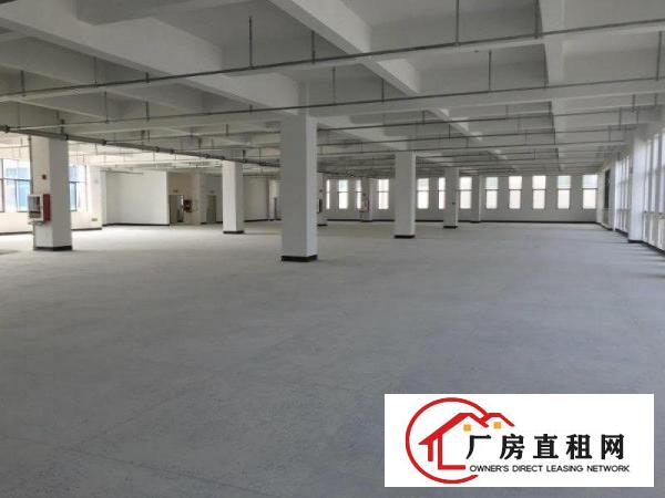  横岗大康独门独院3300平，合同期长