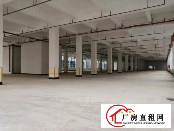  厂房出租2200平龙岗横岗安良高新产业园有红本适合各种行业