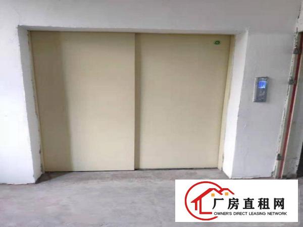  厂房招租300平可电商贸易办公生产特价出租紧邻盐田港交通便利