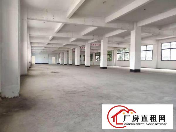  厂房招租300平可电商贸易办公生产特价出租紧邻盐田港交通便利
