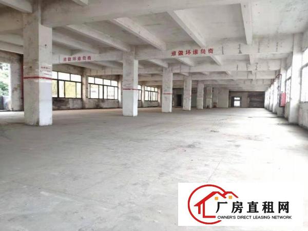  厂房招租300平可电商贸易办公生产特价出租紧邻盐田港交通便利