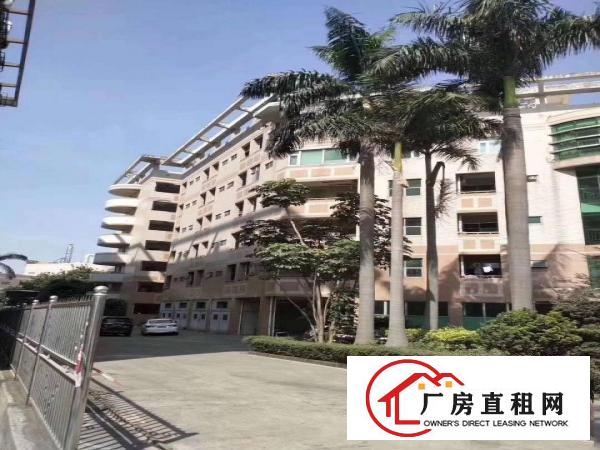  横岗六约厂房出租，无公摊实际面积，大小分租，合同久