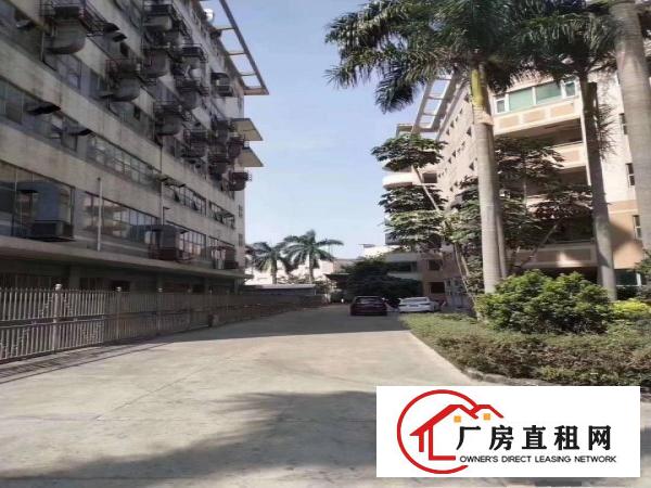  横岗六约厂房出租，无公摊实际面积，大小分租，合同久