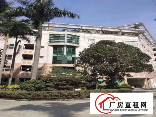  横岗六约厂房出租，无公摊实际面积，大小分租，合同久
