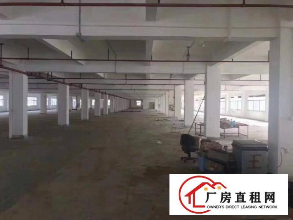  横岗六约厂房出租，无公摊实际面积，大小分租，合同久