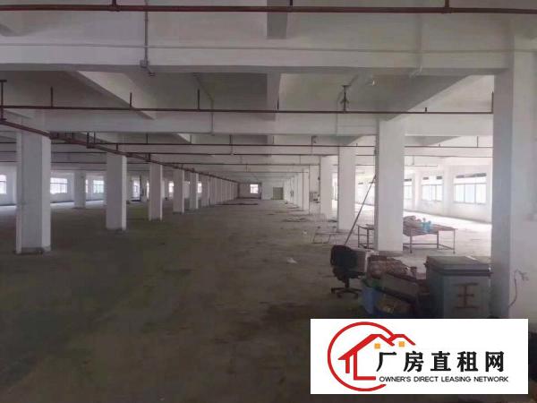  横岗六约厂房出租，无公摊实际面积，大小分租，合同久