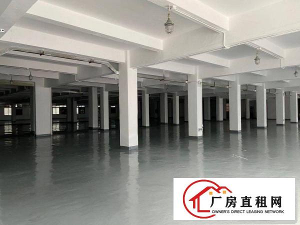  横岗3100平厂房仓库大小分租20元招租