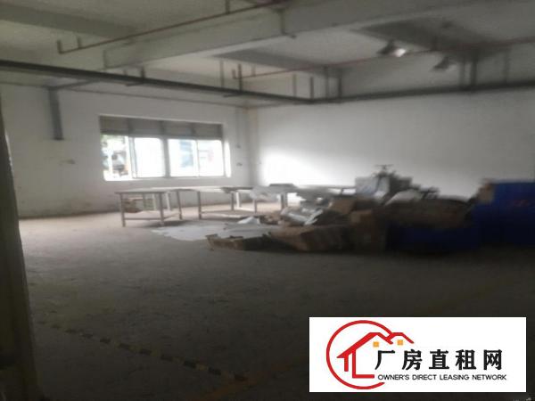  横岗地铁口，一楼255平米低价厂房出租适合仓储，生产