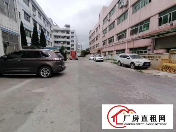 大康东海科技园4800独院厂房原房东出租