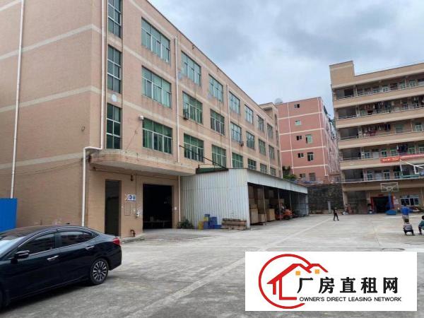  大康东海科技园4800独院厂房原房东出租