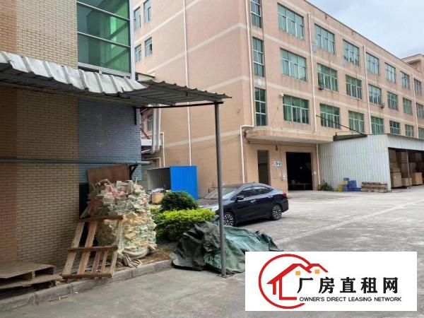  大康东海科技园4800独院厂房原房东出租