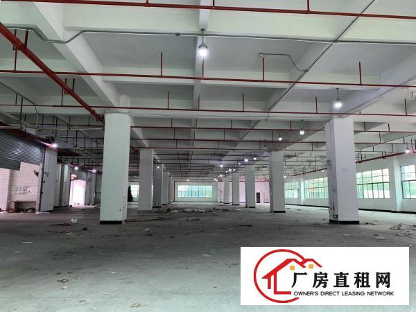  大康东海科技园4800独院厂房原房东出租
