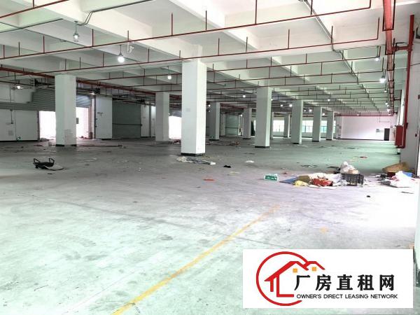  大康东海科技园4800独院厂房原房东出租