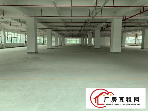  大康东海科技园4800独院厂房原房东出租