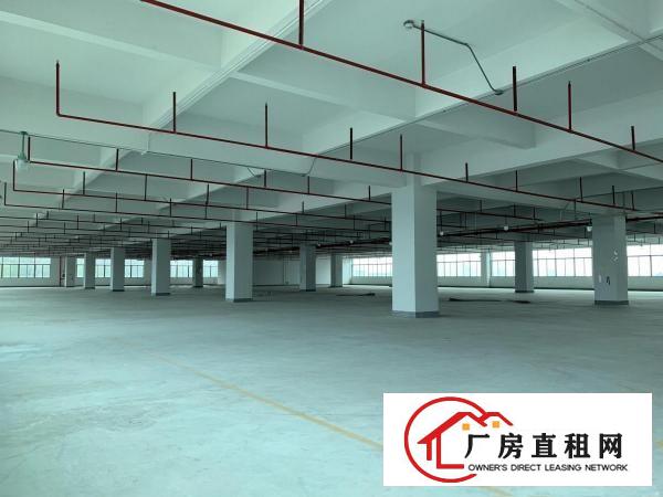  大康东海科技园4800独院厂房原房东出租