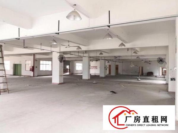  大康原房东独院厂房500平方起分租，可整租有货梯包隔墙