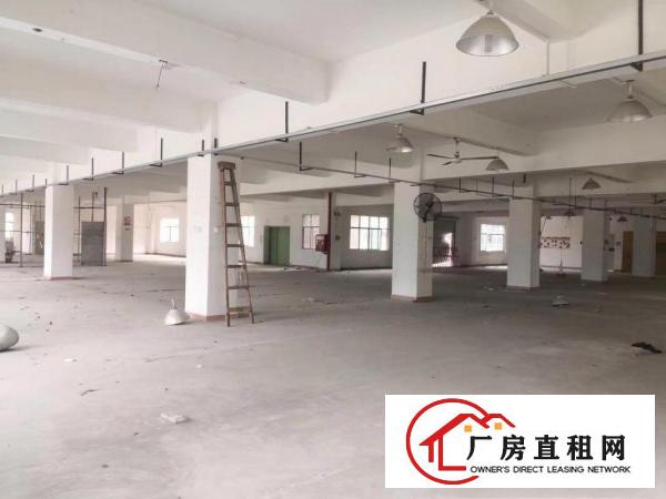  大康原房东独院厂房500平方起分租，可整租有货梯包隔墙