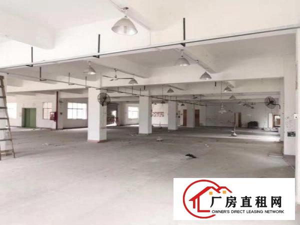  大康原房东独院厂房500平方起分租，可整租有货梯包隔墙