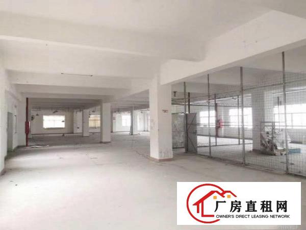  大康原房东独院厂房500平方起分租，可整租有货梯包隔墙