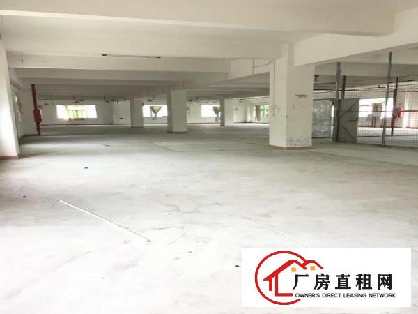  大康原房东独院厂房500平方起分租，可整租有货梯包隔墙