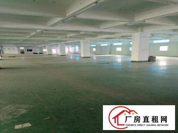  横岗安良1000平方厂房出租