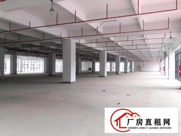 安良业主直租，一楼1500平，独栋2900平，真实房源