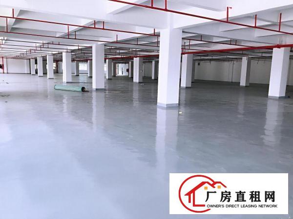  安良业主直租，一楼1500平，独栋2900平，真实房源