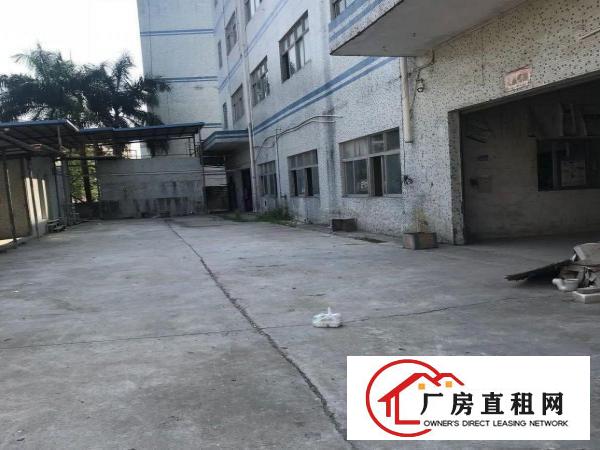  横岗荷坳地铁站旁精装修厂房800平米仓库便宜出租