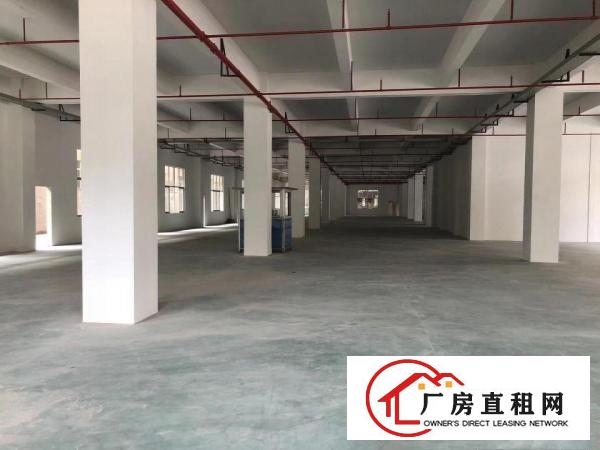  横岗保安新出一层780平分租，带卸货平台，带消防喷淋