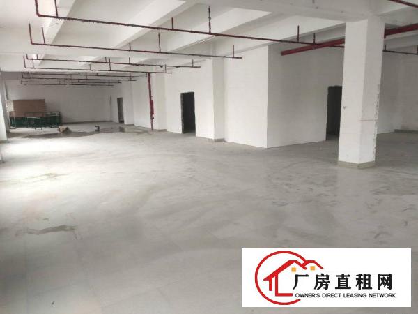  横岗厂房仓库办公底价出租300平方