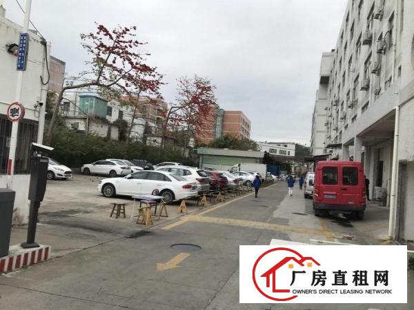  横岗塘坑地铁站六和路1号现成装修170厂房出租