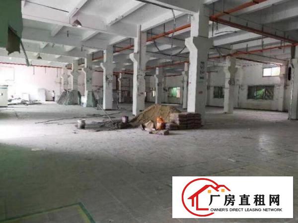 横岗六约原业主一楼3900平层高6.2米