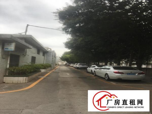  横岗地铁口385平米低价厂房出租仓储生产，办公都行