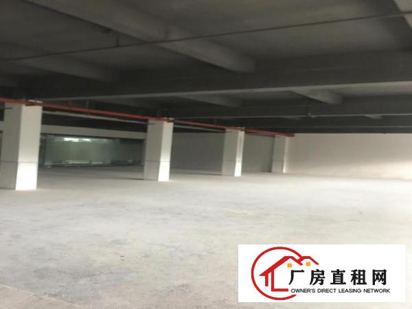  横岗地铁口385平米低价厂房出租仓储生产，办公都行