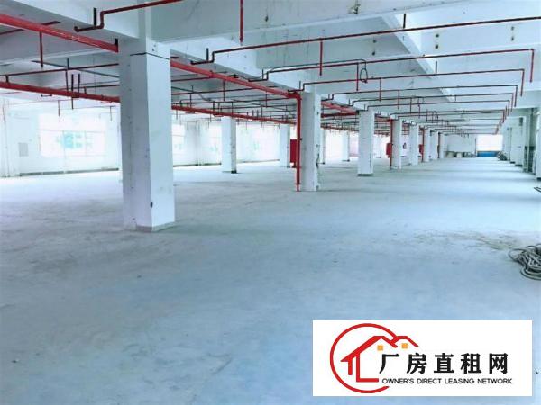  六约社区新出独栋6600平厂房出租，大小可分租