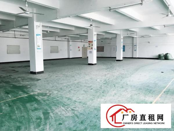  横岗西坑新出2楼400平低价厂房出租有电梯可分租公摊小合同长