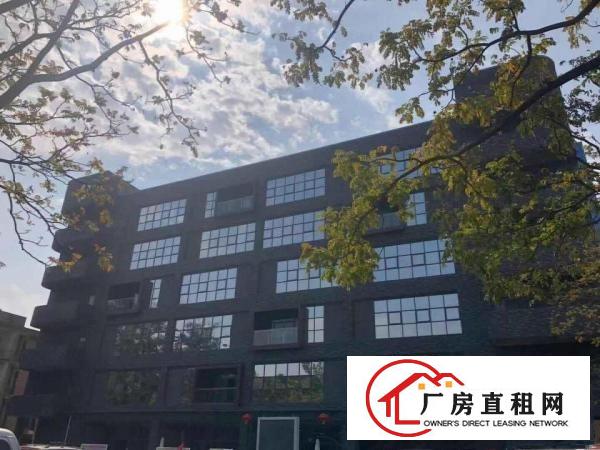  塘坑地铁站精装修100平200平1500平米招租