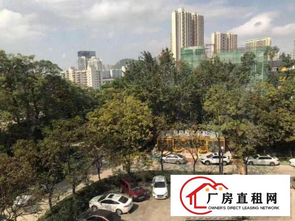  塘坑地铁站精装修100平200平1500平米招租