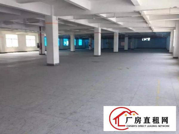 横岗3008001200平厂房出租单价18元