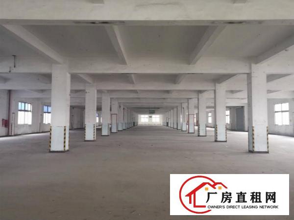  横岗坳背地铁口独栋厂房12000平出租，单层4000平