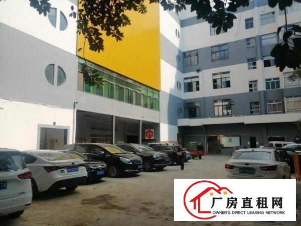  横岗塘坑地铁站旁单层面积388平，实际面积出租，有精装修