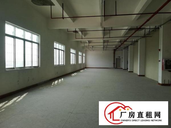  横岗大康新出1100平厂房，带消防喷淋，配3吨电梯，超大空地
