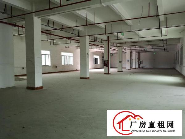  横岗大康新出1100平厂房，带消防喷淋，配3吨电梯，超大空地